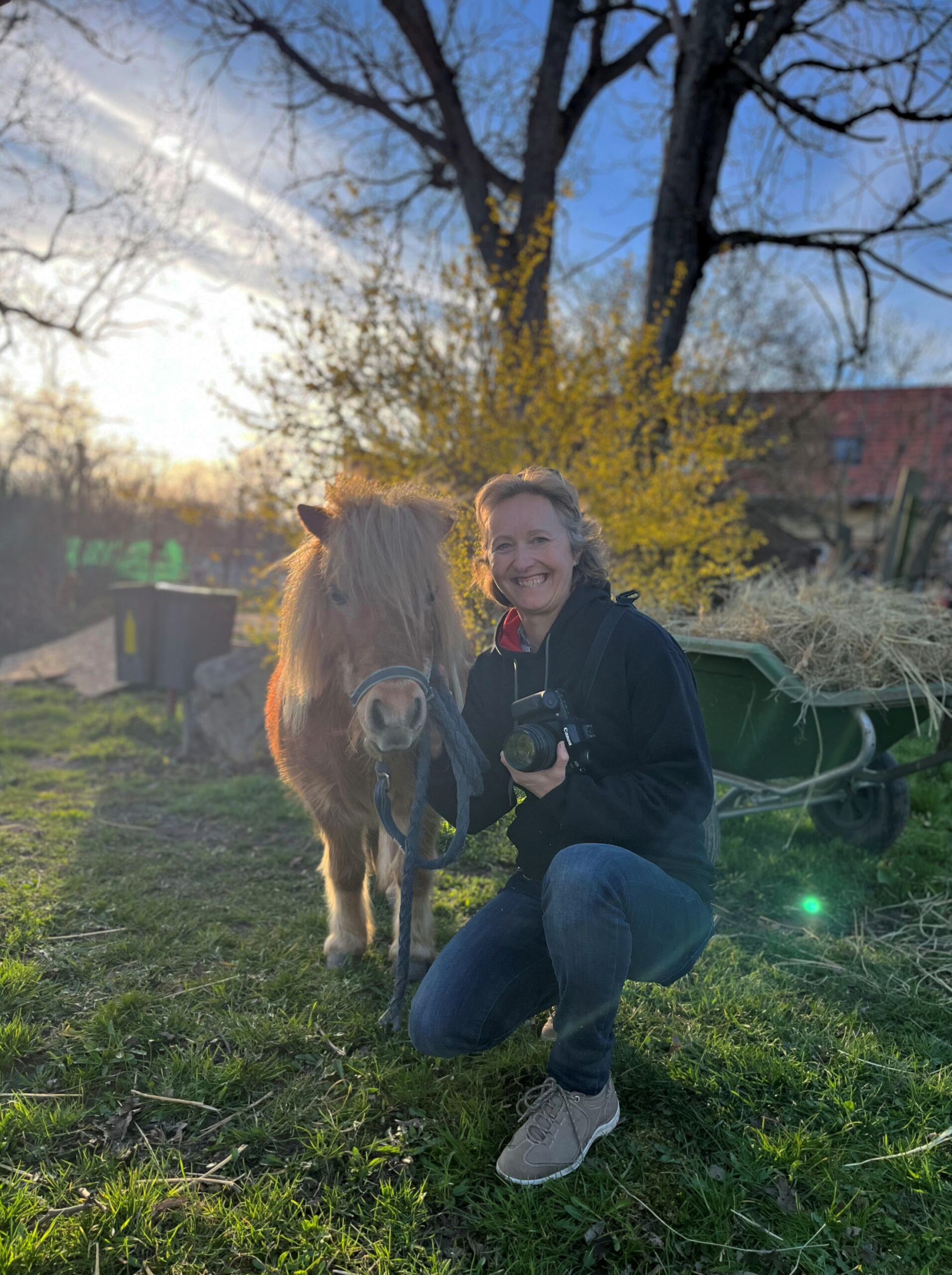 egy póni és egy fotós